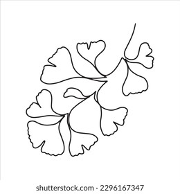 Hand drawn one line ginkgo biloba branch. Floral element for invitations, posters, greeting cards.