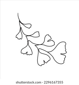 Hand drawn one line ginkgo biloba branch. Floral element for invitations, posters, greeting cards.