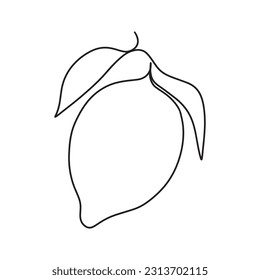 Handgezeichnet eine Leine mit Blättern. Minimalistische Zitronenskizze.