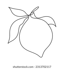 Hand drawn one line lemon with leaves. Minimalistic lemon sketch.
