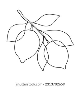 Hand drawn one line lemon branch with leaves. Minimalistic lemon sketch.