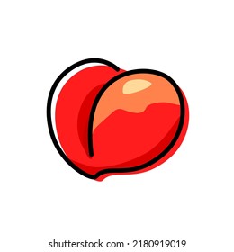 Hand drawn one whole peach isolated on white background. Vector illustration of fruit concept