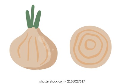 Hand drawn Onion in cartoon style. Healthy food elements. Vector illustration isolated on white background