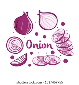 Hand drawn onion collection design isolated on whit background. Vector illustration.