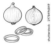 Hand Drawn Onion, half an onion, and onion rings. Black and white. Vector illustration isolated on a white background.