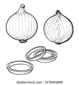 Hand Drawn Onion, half an onion, and onion rings. Black and white. Vector illustration isolated on a white background.