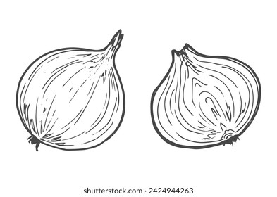 Cebolla dibujada a mano, media cebolla y aros de cebolla. Blanco y negro. Ilustración vectorial aislada sobre un fondo blanco.