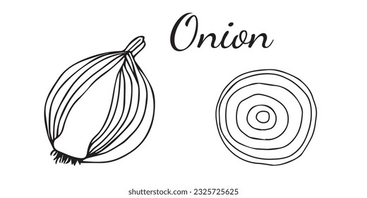 Hand drawn onion icon and lettering. Vegetables vector icon in old ink style for brochures, banners, restaurant menu and market.