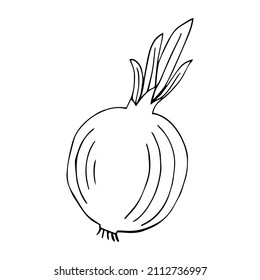 Hand drawn onion icon. Vector badge vegetable in the old ink style for brochures, banner, restaurant menu and market
