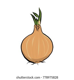 Hand drawn onion icon, vector
