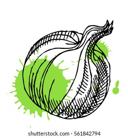 Hand drawn onion with ink splash. Can be used for vegan products, brochures, banner, restaurant menu, farmers market and organic food shop. Vector