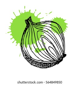 Hand drawn onion with ink splash. Can be used for vegan products, brochures, banner, restaurant menu, farmers market and organic food shop. Vector