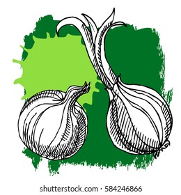 Hand drawn onion with ink splash. Can be used for vegan products, brochures, banner, restaurant menu, farmers market and organic food shop. Vector