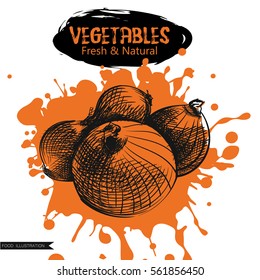 Hand drawn onion isolated on orange blot. Vegetables sketch elements. Art hand-drawn vector illustration