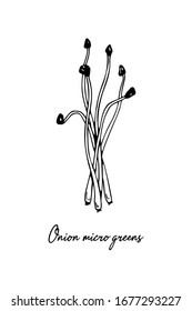 Microvegetales dibujados a mano. Ilustración vectorial en estilo de esbozo aislado en fondo blanco