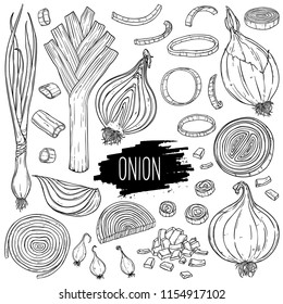 Hand drawn onion set. Isolated bulb, slices, halves, pieces, green onion and leek. Vegetarian food design for shop, book, menu, poster, banner. Outline ink slyle sketch. Vector coloring illustration.