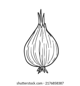Hand drawn onion sketch. Black silhouette of a whole bulb isolated on a white background. Organic vegetarian product drawn in cartoon style. Imitation of ink drawing. Vector illustration.