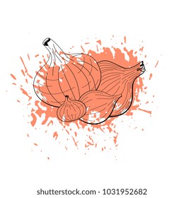 Hand drawn onion vector  sketch on grunge background. Vegeterian vegetable background. 