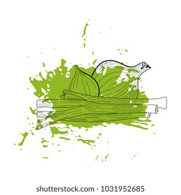 Hand drawn onion vector  sketch on grunge background. Vegeterian vegetable background. 