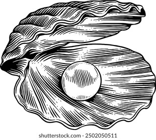 Hand drawn Open Clam Shell with Pearl Sketch Illustration