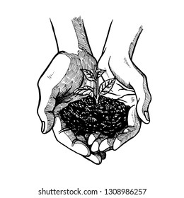 Hand drawn open palms with sprout. Symbol of agriculture. Black and white vintage hands. Retro isolated sketches. Vintage figure. Linear graphic design. Vector illustration.