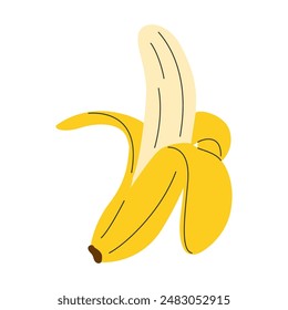 Hand drawn opened peeled banana. Whole banana fruit with peel clip art