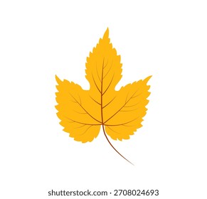 Dibujado a mano Ilustración vectorial de hojas de otoño naranja aislado sobre fondo blanco. Hoja de árbol de viburnum simple