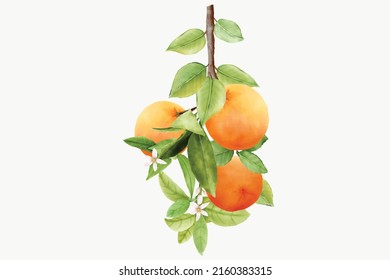 hand drawn orange branches design