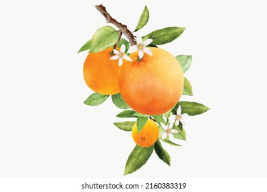 hand drawn orange branches design