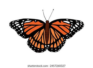 Hand drawn orange butterfly isolated on white background. Butterfly cartoon element top view for stickers, prints, cards, banners, signs, etc. EPS 10