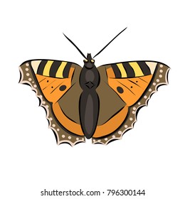 Hand drawn orange butterfly, vector