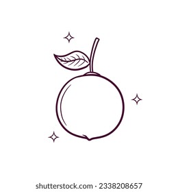 Hand Drawn Orange. Doodle Vector Sketch Illustration