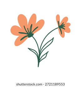 handgezeichnete orange Blume botanische Illustration