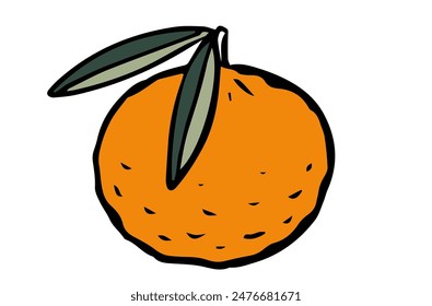 Fruta de naranja dibujada a mano aislada sobre fondo blanco.