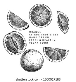 Hand drawn orange fruit and leaf. Engraved vector illustration. Sweet citrus exotic plant. Summer harvest, jam or marmalade vegan ingredient. Menu, package, cosmetic, food design