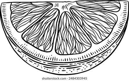 Dibujado a mano de naranja rebanada de fruta ilustración de boceto