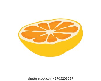 Hand Drawn Orange Fruit Slice