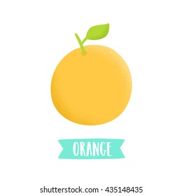 Hand drawn orange isolated on white. Vector illustration