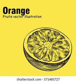 Hand drawn orange isolated on yellow background. Fruits sketch elements. Art hand-drawn vector illustration. Great for poster, banner, voucher, coupon.