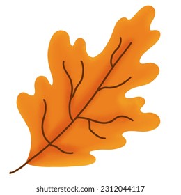 hand drawn orange leaf illustration