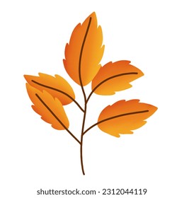 hand drawn orange leaf illustration