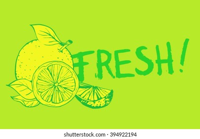 hand drawn orange lemon and lime slice green outline line drawing illustration banner poster with green ink splash chalk fresh sign with light bright lime green background 