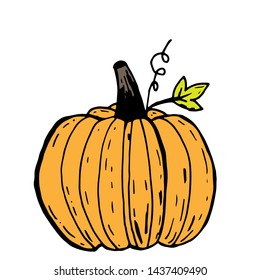 Hand drawn orange pumpkin with black outline on white background, simple vector illustration.