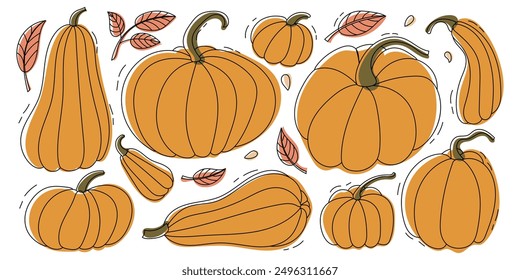 Hand drawn orange pumpkins with leaves. Vegetables in doodle style. Symbol of autumn harvest and Halloween.