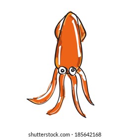 Hand drawn orange squid on white background