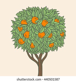 Hand drawn orange tree. Vector illustration