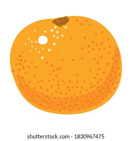 handgezeichnet, orange, Vektorgrafik