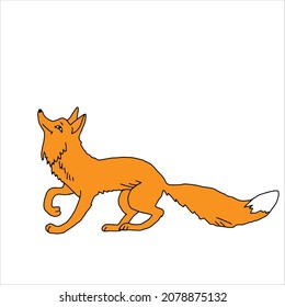 A Hand drawn orange vector illustration of a beautiful adult young funny fox with a long fluffy tail isolated on a white background