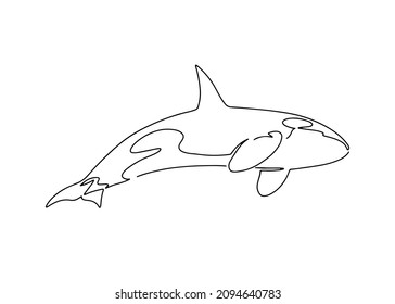 Ballena orca dibujada a mano en una línea, ilustración vectorial aislada