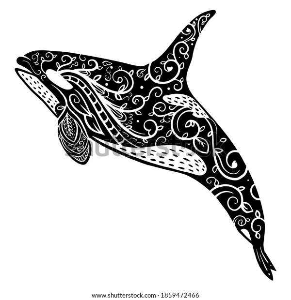 Hand drawn of orca or killer whale zentangle arts . vector illustration